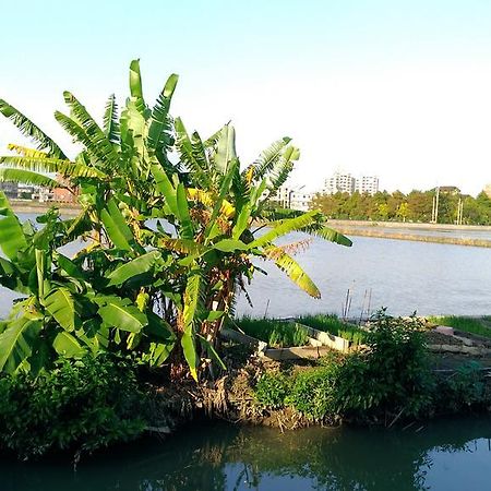 Breadtree Homestay Уцзе Экстерьер фото